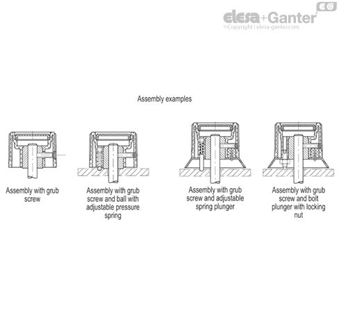 IZN_381_ACC_EXAMPLE_EN