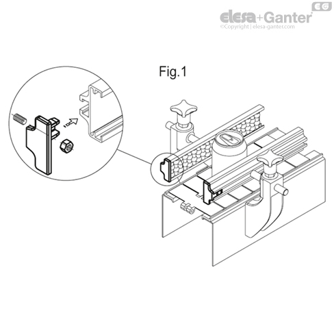 TGL_FIG1_EN