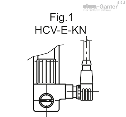 HCV_E_FIG1_EN