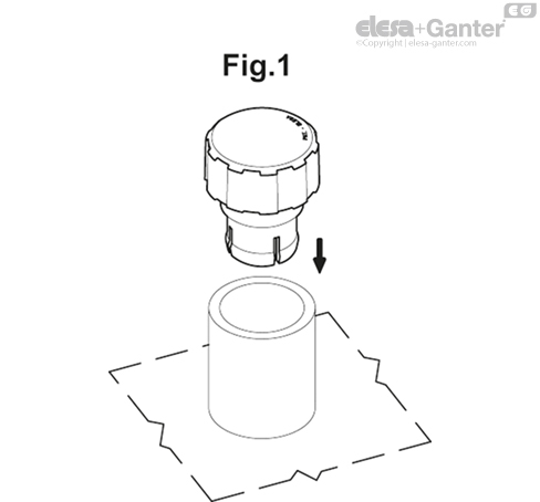 SFN_RT_3D_EXAMPLE_EN