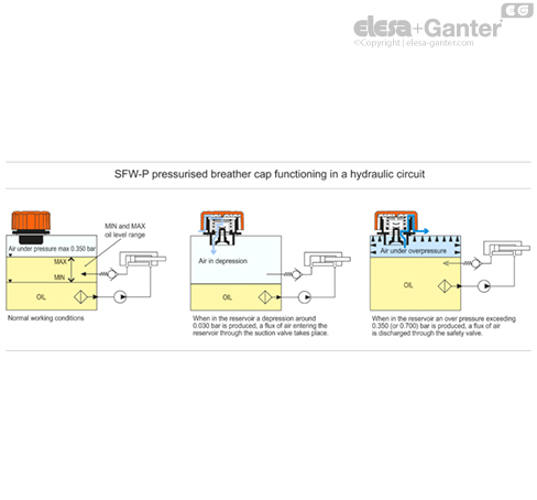 SFW_P_a_ACC_EXAMPLE_EN