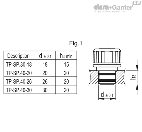 TP_SP_MOUNT_EXAMPLE_EN