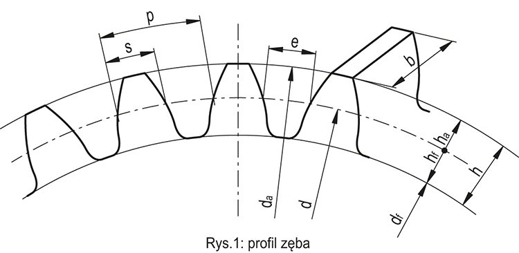 2.1 Ząb
